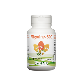 Land Art – Migraine 500